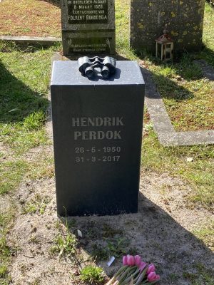 Hendrik  Perdok
