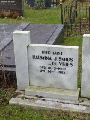 Harmina J. de Vries