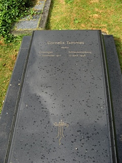 Cornelis  Tammes