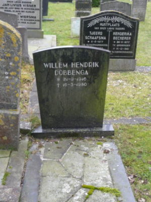 Willem Hendrik  Dobbenga
